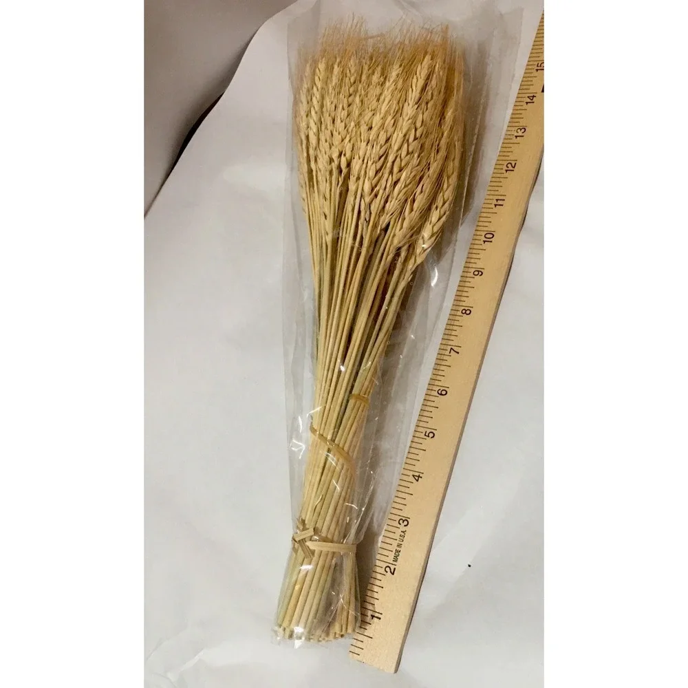 100 Stems Dried Wheat Stalks for Decor Sheaves Grass Natural Golden